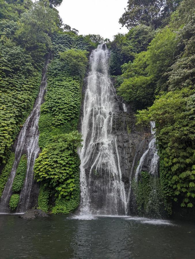 Bali Munduk Delux Bungalow Villa ซีงาราจา ภายนอก รูปภาพ