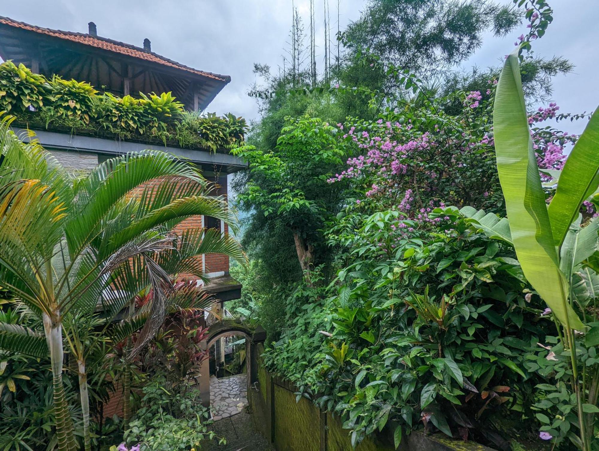 Bali Munduk Delux Bungalow Villa ซีงาราจา ภายนอก รูปภาพ